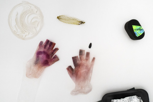 Photographie en plongée et sur fond blanc de matières plastiques (gants en latex tachés, filet alimentaire, emballage...) et d'une carapace d'insecte.