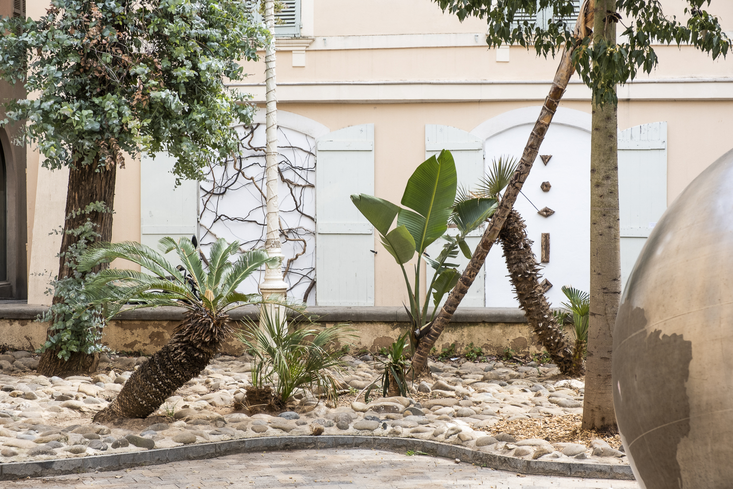 Photographie sur une place de deux anciennes portes ornementées avec des branches et des racines.