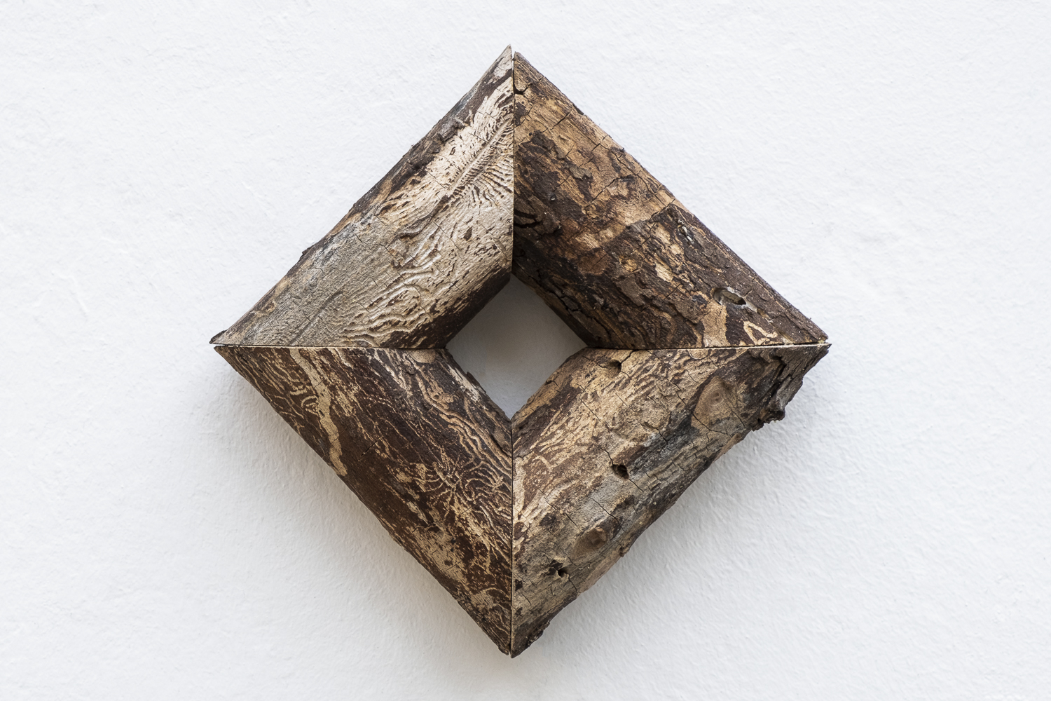 Photographie sur fond blanc d'une pièce carré réalisée en bois d'orme, avec des branches coupées et ré-assemblées où l'on peut voir des galeries creusées par des insectes à la surface du bois.