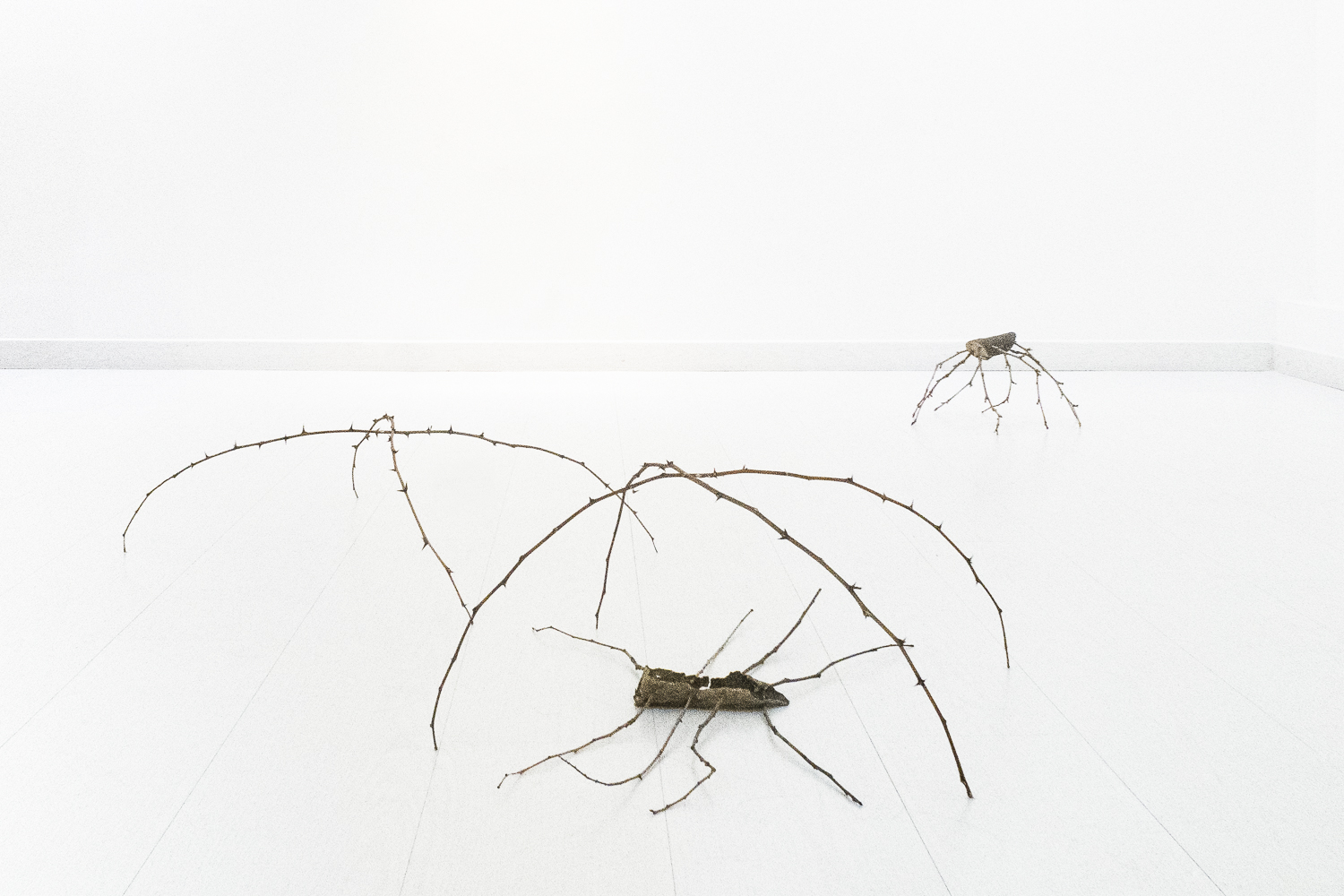 Photographie d'un espace d'exposition où sont posés au sol plusieurs volumes ressemblant à des insectes et dont les pattes sont des branches assemblées entre elles.