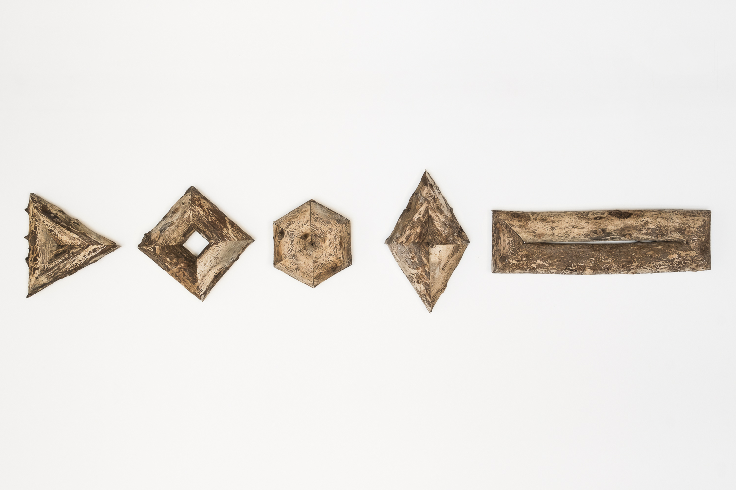 Photographie de pièces en bois sur un mur blanc de pièces réalisées en bois d'orme, avec des branches coupées et ré-assemblées (triangle, carré, hexagone, losange, rectangle) où l'on peut voir des galeries creusées par des insectes à la surface du bois.