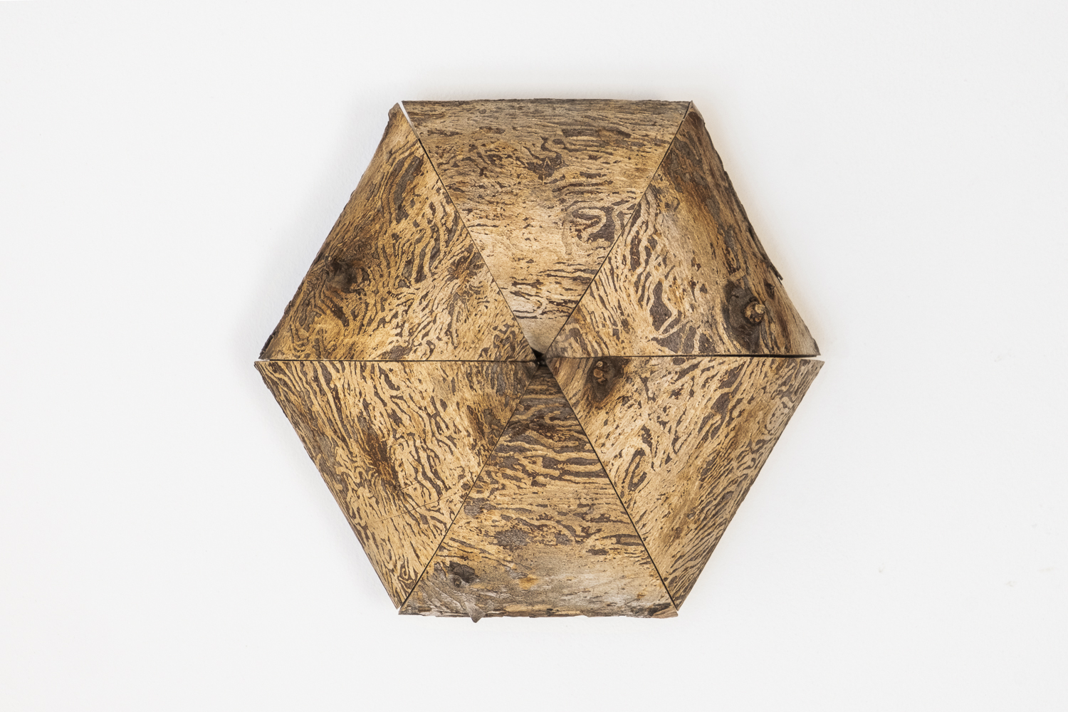 Photographie sur fond blanc d'une pièce hexagonale réalisée en bois d'orme, avec des branches coupées et ré-assemblées où l'on peut voir des galeries creusées par des insectes à la surface du bois.