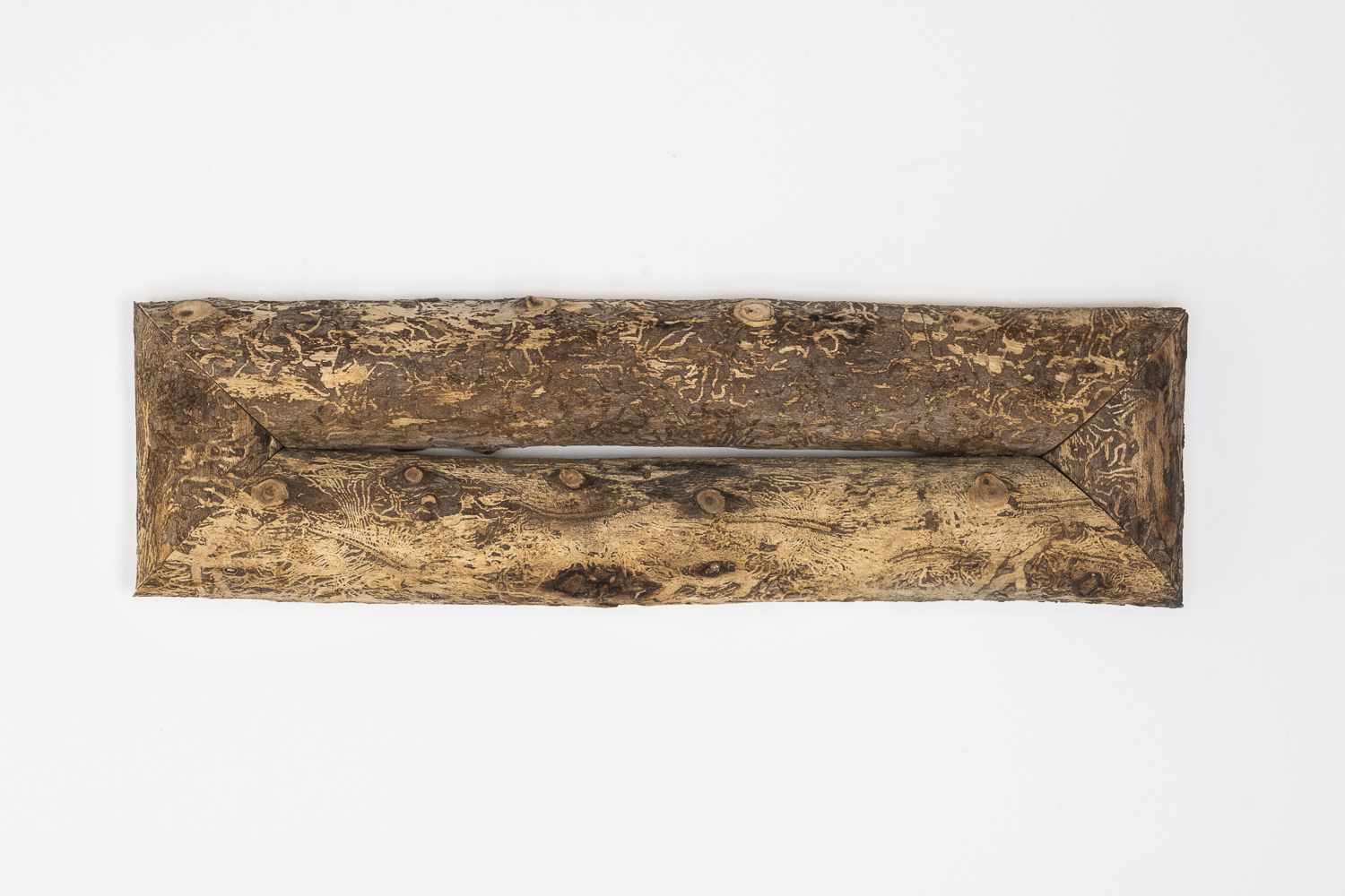 Photographie sur fond blanc d'une pièce rectangulaire réalisée en bois d'orme, avec des branches coupées et ré-assemblées où l'on peut voir des galeries creusées par des insectes à la surface du bois.